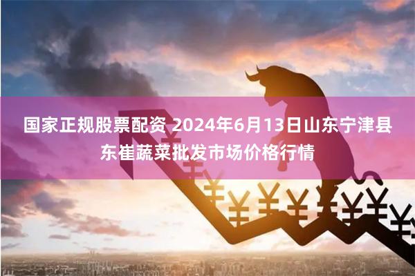 国家正规股票配资 2024年6月13日山东宁津县东崔蔬菜批发市场价格行情