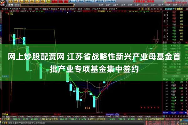 网上炒股配资网 江苏省战略性新兴产业母基金首批产业专项基金集中签约