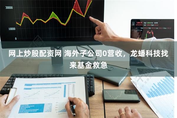 网上炒股配资网 海外子公司0营收，龙蟠科技找来基金救急